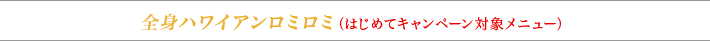全身ハワイアンロミロミ（はじめてキャンペーン対象メニュー）